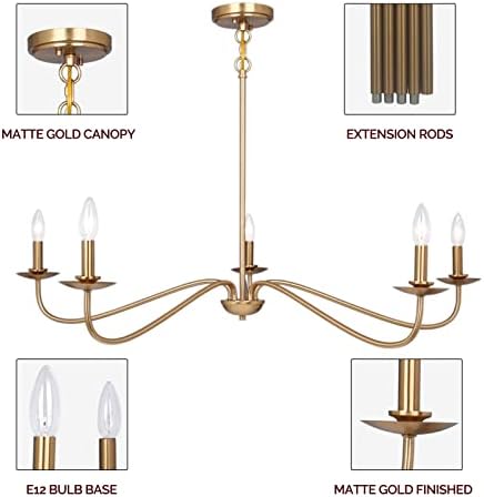Modern Gold Chandelier with 5 Lights Adjustable Height