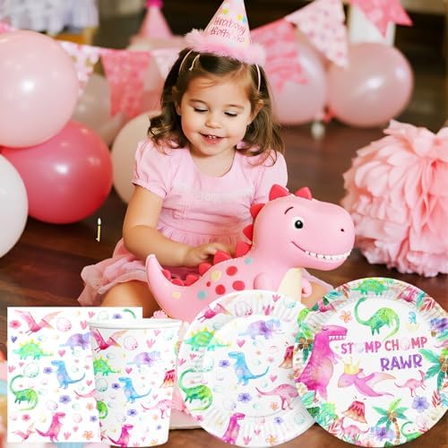 Pink Dinosaur Birthday Decorations Plates Cups Napkins Set