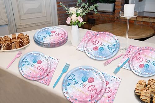 96 Pc Gender Reveal Tableware Set for Baby Shower