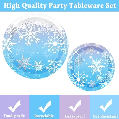 Winter Snowflake Birthday Party Supplies 96 PCS