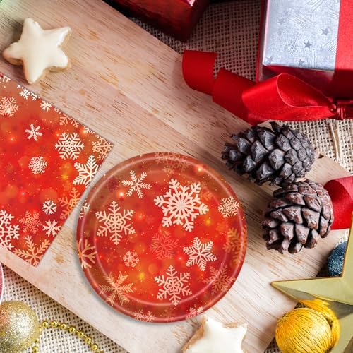 DURYGEN 40Pcs Christmas Snowflake Tableware Set for 20 Guests