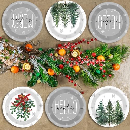 48Pcs Grey Christmas Party Plates 7 for Winter Holiday