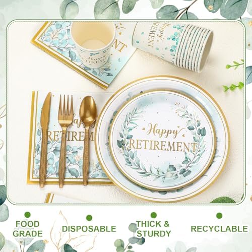Yungyan 252 Pcs Sage Green Retirement Party Tableware Set