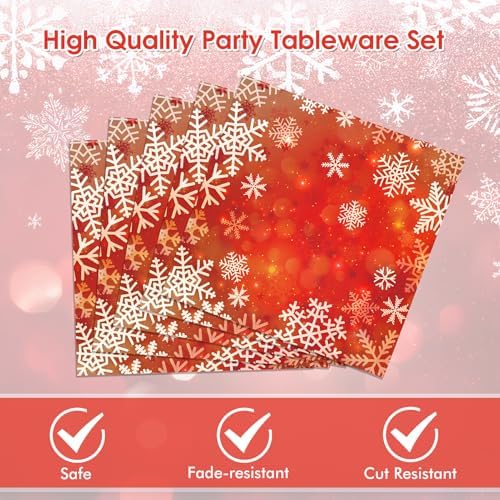DURYGEN 40Pcs Christmas Snowflake Tableware Set for 20 Guests