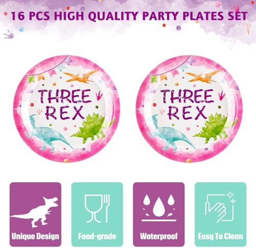 WERNNSAI Pink Dinosaur 3rd Birthday Party Plates Set