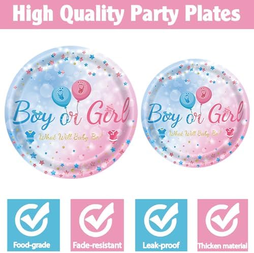 96 Pc Gender Reveal Tableware Set for Baby Shower
