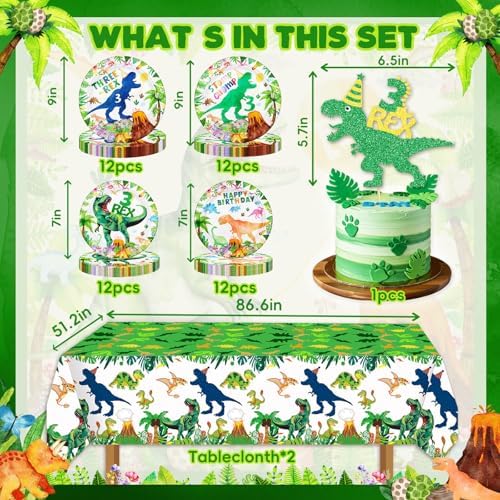 BIGKEOKI 3 Rex Birthday Party Decorations Dino Set