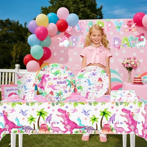 Pink Dinosaur Birthday Decorations Plates Cups Napkins Set