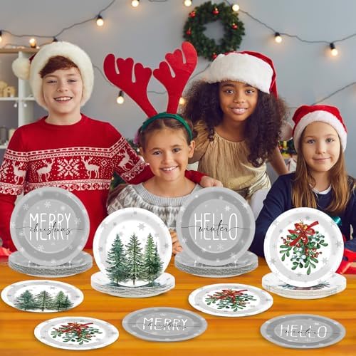 48Pcs Grey Christmas Party Plates 7 for Winter Holiday