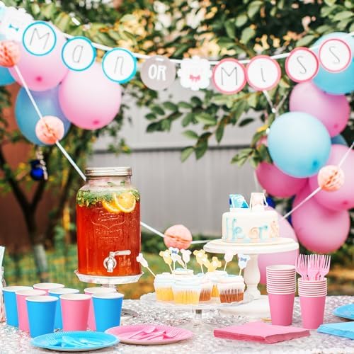 Dandat 280 Piece Pink Blue Paper Plates Napkins Set