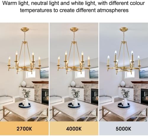 24 Inch Modern Gold Chandelier 6 Light