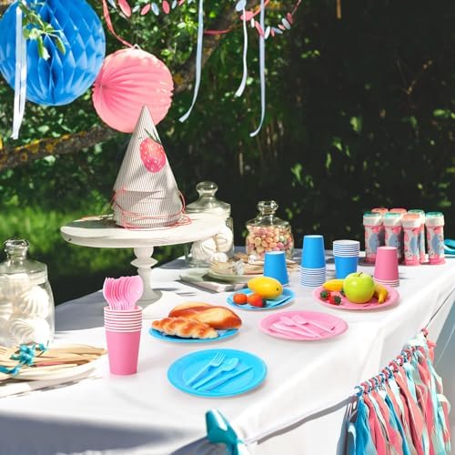 Dandat 280 Piece Pink Blue Paper Plates Napkins Set