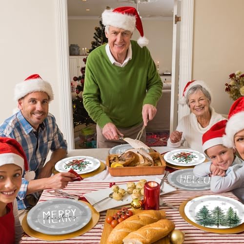 48Pcs Grey Christmas Party Plates 7 for Winter Holiday