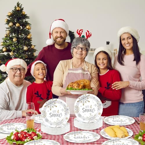 48 Pcs Winter Snowflake Paper Plates 7 Inch