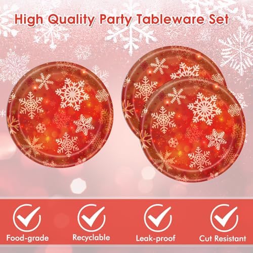 DURYGEN 40Pcs Christmas Snowflake Tableware Set for 20 Guests
