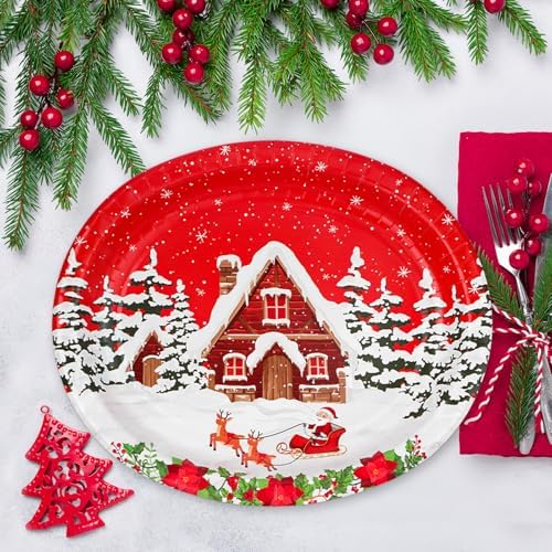 YY Christmas Party Oval Paper Plates Set of 50 12in