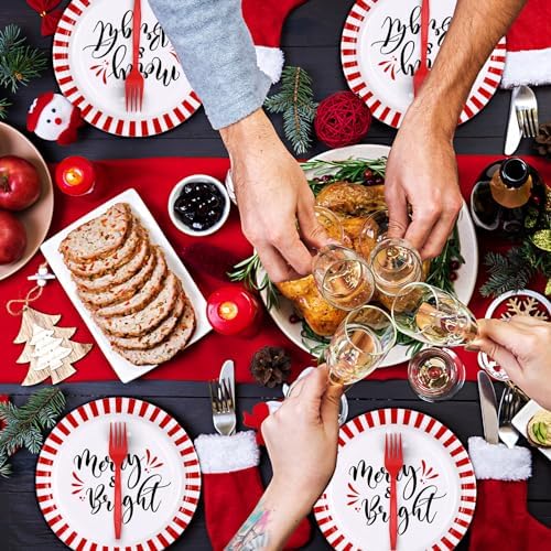 Lounsweer 96 Pcs Christmas Party Supplies Paper Plates and Napkins Set