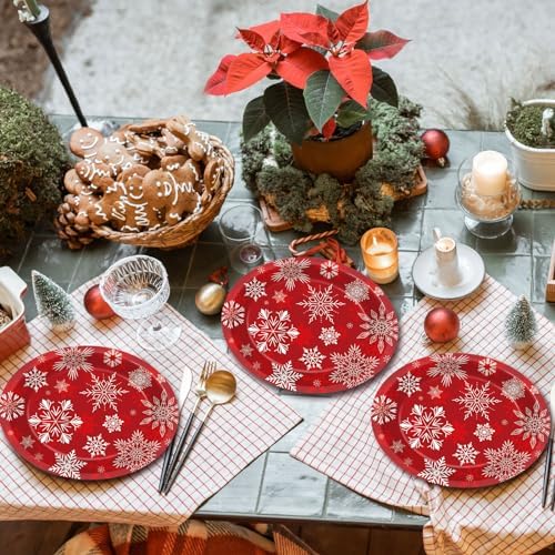 ZOIIWA 50 Pcs Christmas Snowflake Paper Plates 11x9 Inch